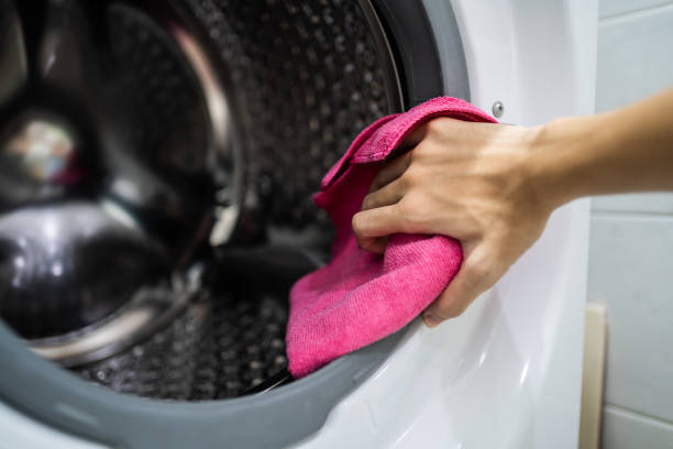 Mold Odor Removal Services in Maywood, IL