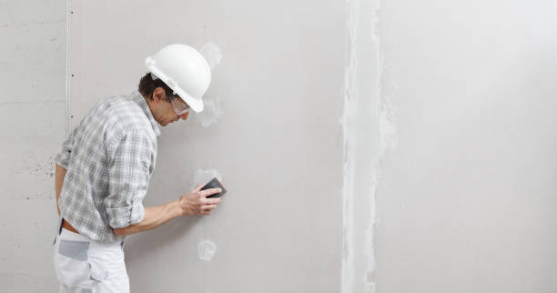 Best Airborne Mold Testing  in Maywood, IL