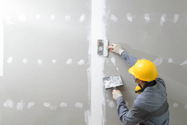 Best Post-Construction Mold Inspection  in Maywood, IL