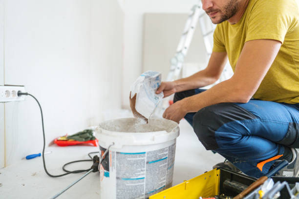 Best Mold Removal for HVAC Installations  in Maywood, IL