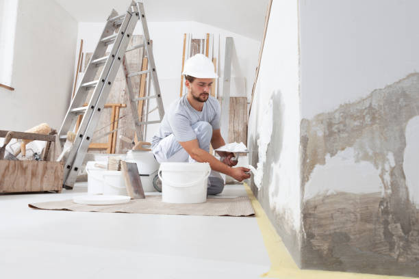 Best Dehumidification Services  in Maywood, IL
