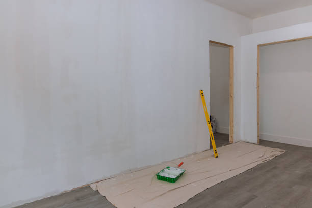 Best Black Mold Removal  in Maywood, IL