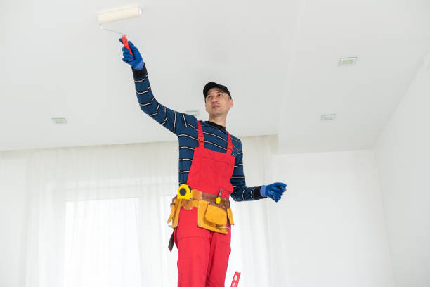 Best Mold Prevention Services  in Maywood, IL