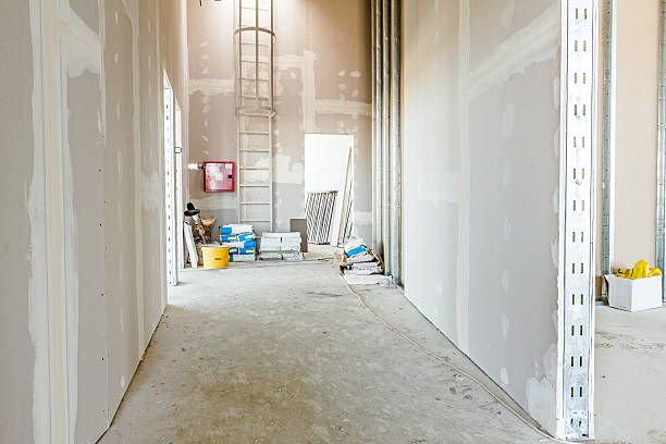 Mold Removal for HVAC Installations in Maywood, IL