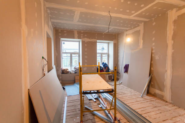 Best Attic Mold Removal  in Maywood, IL